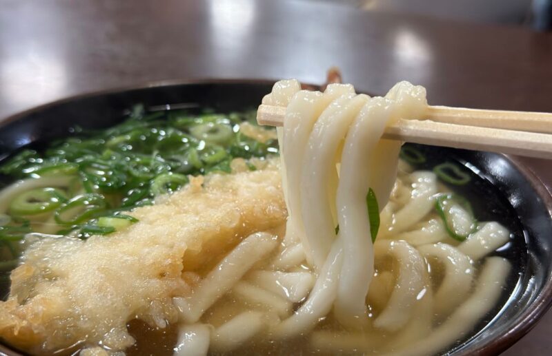 うどんの麺はモッチモチ