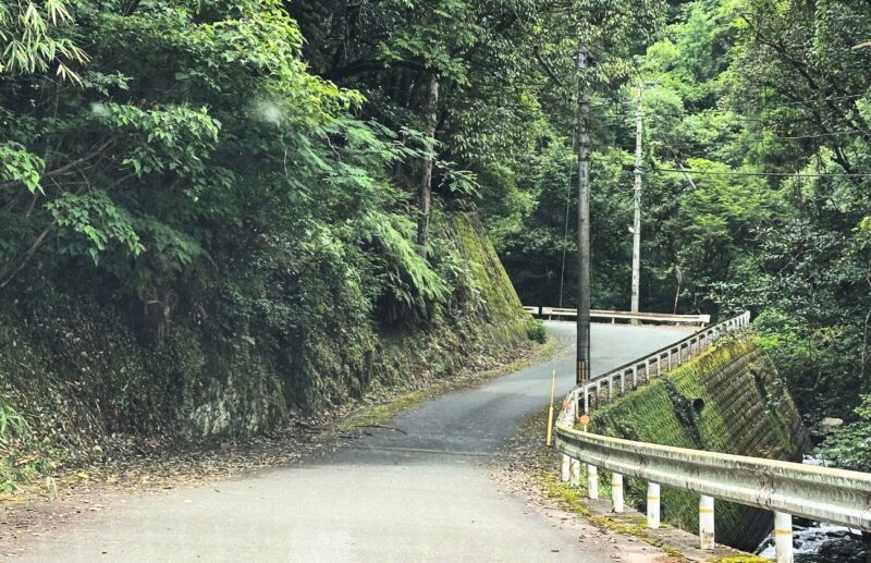 生はちみつ専門店 蜂の雫」の人気メニューは本当においしい