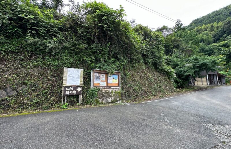 「生はちみつ専門店 蜂の雫」のランチ定食は値打ち抜群